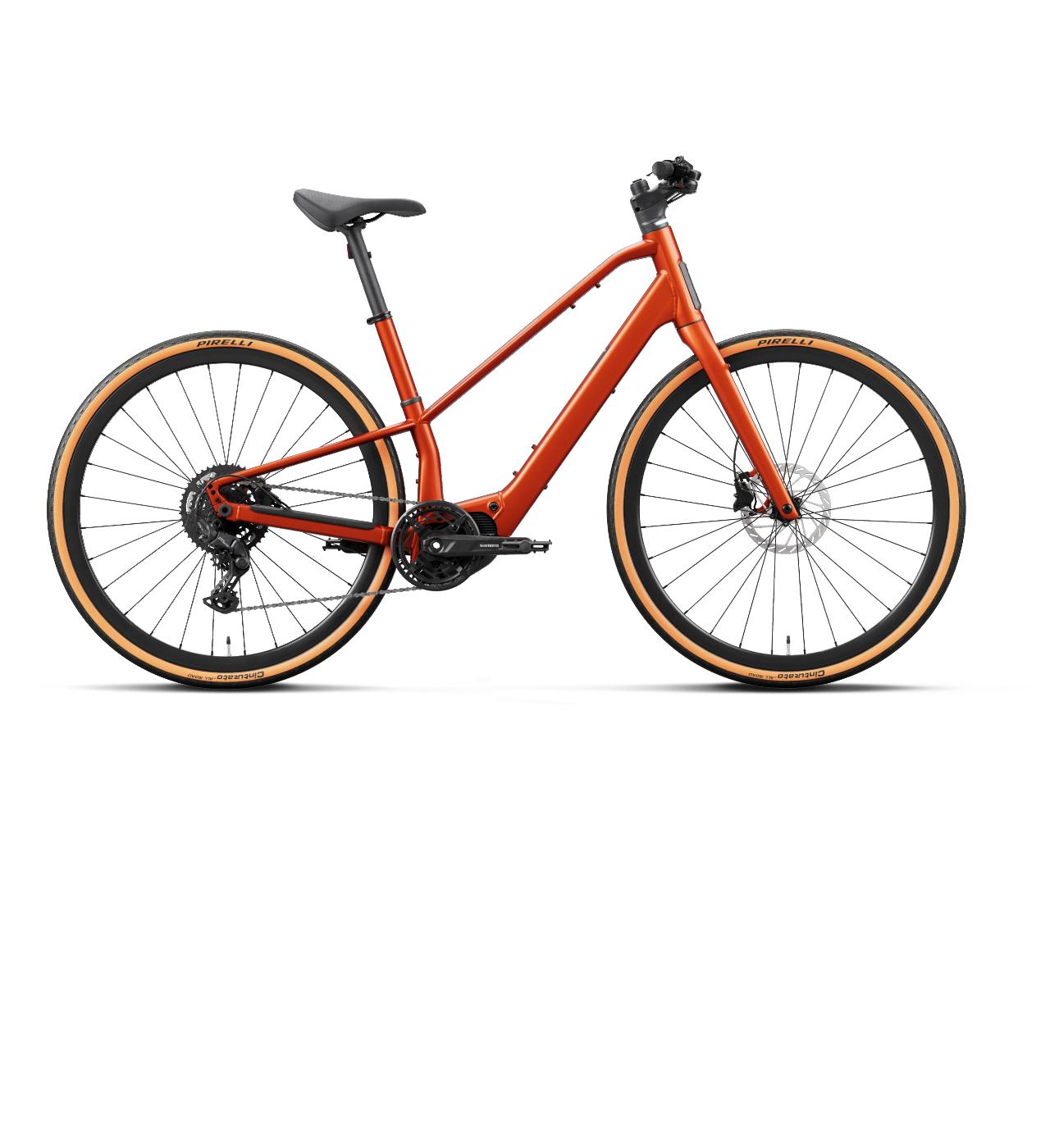 Carpe orange 2027
